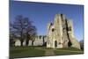 The Norman Gateway and Staircase Tower at the Ruins of Newark Castle in Newark-Upon-Trent-Stuart Forster-Mounted Photographic Print