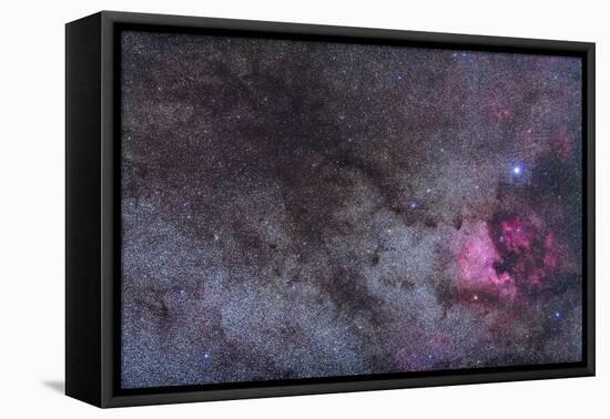 The North America Nebula and Dark Nebulae in Cygnus-null-Framed Stretched Canvas