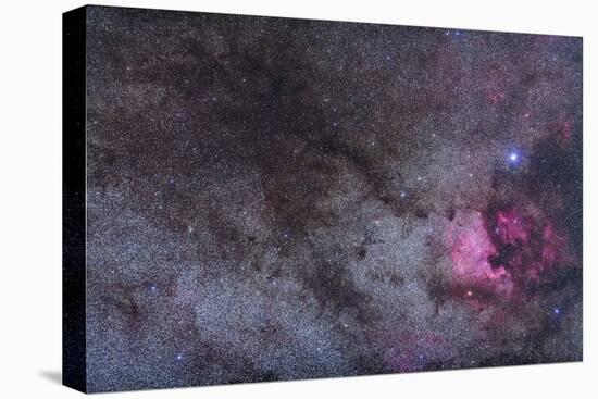 The North America Nebula and Dark Nebulae in Cygnus-null-Stretched Canvas