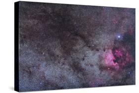 The North America Nebula and Dark Nebulae in Cygnus-null-Stretched Canvas