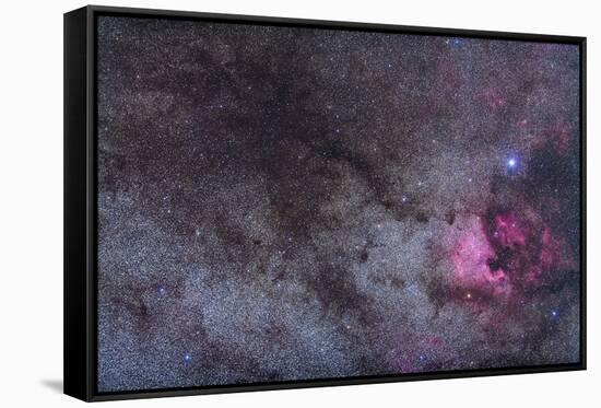 The North America Nebula and Dark Nebulae in Cygnus-null-Framed Stretched Canvas