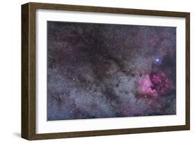 The North America Nebula and Dark Nebulae in Cygnus-null-Framed Photographic Print