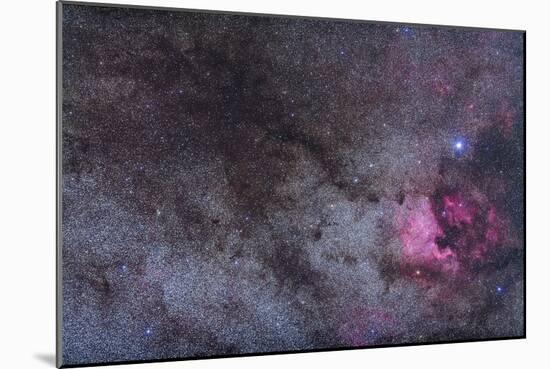 The North America Nebula and Dark Nebulae in Cygnus-null-Mounted Photographic Print