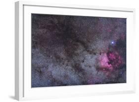 The North America Nebula and Dark Nebulae in Cygnus-null-Framed Photographic Print