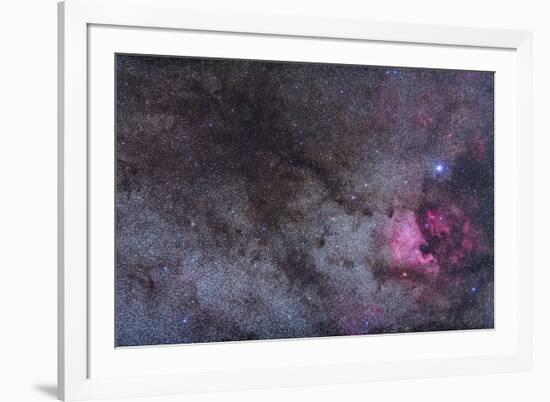 The North America Nebula and Dark Nebulae in Cygnus-null-Framed Photographic Print