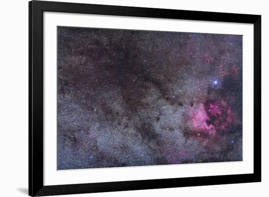 The North America Nebula and Dark Nebulae in Cygnus-null-Framed Photographic Print