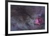 The North America Nebula and Dark Nebulae in Cygnus-null-Framed Photographic Print