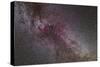 The North America Nebula and Dark Nebulae in Cygnus-null-Stretched Canvas