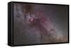 The North America Nebula and Dark Nebulae in Cygnus-null-Framed Stretched Canvas