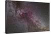 The North America Nebula and Dark Nebulae in Cygnus-null-Stretched Canvas