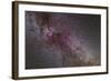 The North America Nebula and Dark Nebulae in Cygnus-null-Framed Photographic Print