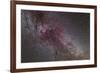 The North America Nebula and Dark Nebulae in Cygnus-null-Framed Photographic Print