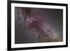 The North America Nebula and Dark Nebulae in Cygnus-null-Framed Photographic Print