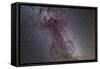 The North America Nebula and Dark Nebulae in Cygnus-null-Framed Stretched Canvas