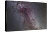 The North America Nebula and Dark Nebulae in Cygnus-null-Stretched Canvas