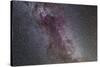 The North America Nebula and Dark Nebulae in Cygnus-null-Stretched Canvas