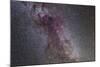 The North America Nebula and Dark Nebulae in Cygnus-null-Mounted Photographic Print