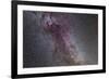 The North America Nebula and Dark Nebulae in Cygnus-null-Framed Photographic Print