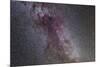 The North America Nebula and Dark Nebulae in Cygnus-null-Mounted Photographic Print