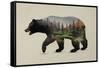 The North American Black Bear-Davies Babies-Framed Stretched Canvas