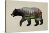 The North American Black Bear-Davies Babies-Stretched Canvas