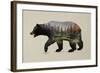 The North American Black Bear-Davies Babies-Framed Art Print