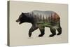 The North American Black Bear-Davies Babies-Stretched Canvas