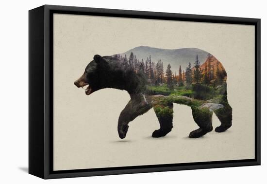 The North American Black Bear-Davies Babies-Framed Stretched Canvas