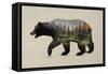 The North American Black Bear-Davies Babies-Framed Stretched Canvas