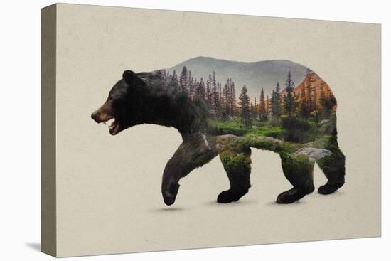 The North American Black Bear-Davies Babies-Stretched Canvas