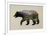 The North American Black Bear-Davies Babies-Framed Art Print