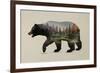 The North American Black Bear-Davies Babies-Framed Art Print