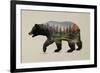 The North American Black Bear-Davies Babies-Framed Art Print