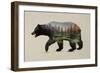 The North American Black Bear-Davies Babies-Framed Premium Giclee Print