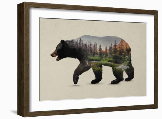 The North American Black Bear-Davies Babies-Framed Art Print