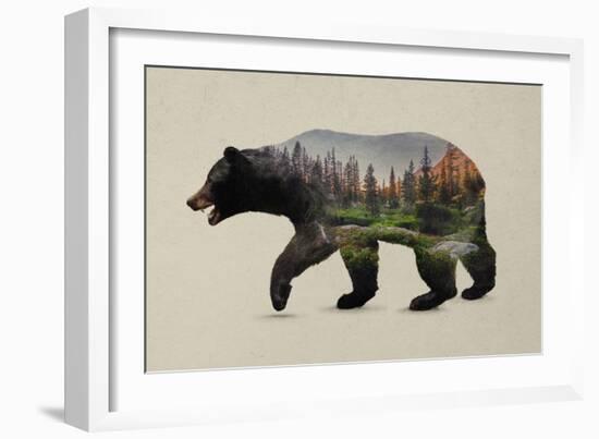 The North American Black Bear-Davies Babies-Framed Art Print