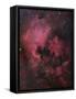 The North American Nebula (NGC 7000) is an Emission Nebula in the Constellation Cygnus-Stocktrek Images-Framed Stretched Canvas