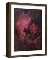 The North American Nebula (NGC 7000) is an Emission Nebula in the Constellation Cygnus-Stocktrek Images-Framed Photographic Print