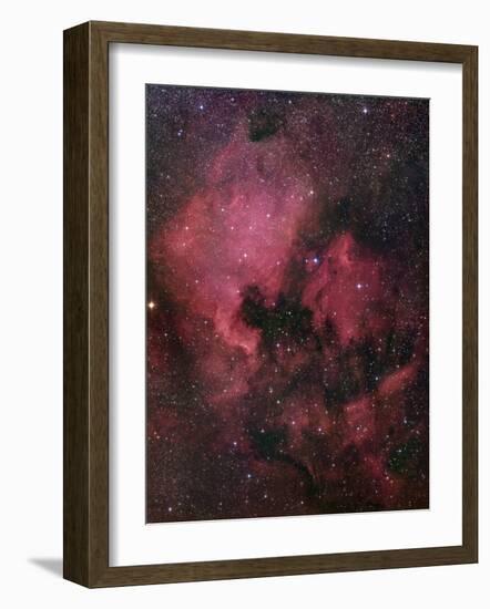 The North American Nebula (NGC 7000) is an Emission Nebula in the Constellation Cygnus-Stocktrek Images-Framed Photographic Print