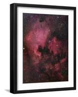 The North American Nebula (NGC 7000) is an Emission Nebula in the Constellation Cygnus-Stocktrek Images-Framed Photographic Print