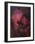 The North American Nebula (NGC 7000) is an Emission Nebula in the Constellation Cygnus-Stocktrek Images-Framed Photographic Print