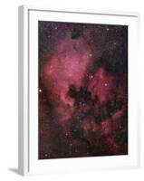 The North American Nebula (NGC 7000) is an Emission Nebula in the Constellation Cygnus-Stocktrek Images-Framed Photographic Print