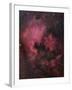 The North American Nebula (NGC 7000) is an Emission Nebula in the Constellation Cygnus-Stocktrek Images-Framed Photographic Print