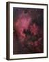 The North American Nebula (NGC 7000) is an Emission Nebula in the Constellation Cygnus-Stocktrek Images-Framed Photographic Print