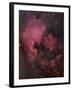 The North American Nebula (NGC 7000) is an Emission Nebula in the Constellation Cygnus-Stocktrek Images-Framed Photographic Print