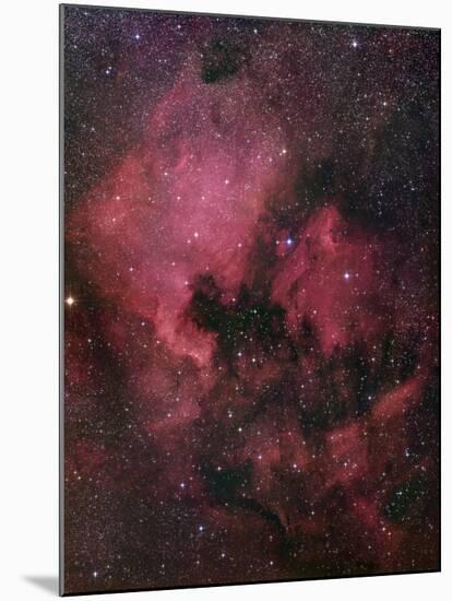 The North American Nebula (NGC 7000) is an Emission Nebula in the Constellation Cygnus-Stocktrek Images-Mounted Photographic Print