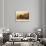 The North Cape of Heligoland Seen from the Western Side-null-Framed Giclee Print displayed on a wall