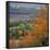 The North Downs, Near Dorking, Surrey, England, UK, Europe-Roy Rainford-Framed Photographic Print