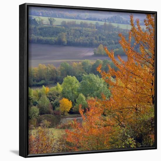 The North Downs, Near Dorking, Surrey, England, UK, Europe-Roy Rainford-Framed Photographic Print