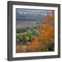 The North Downs, Near Dorking, Surrey, England, UK, Europe-Roy Rainford-Framed Photographic Print